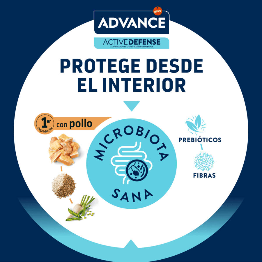 12 kg (10 + 2 kg &iexcl;gratis!) Advance Adult Pollo y Arroz pienso para gatos, , large indicador imagen numero 6